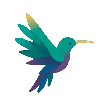 Colibri tropical