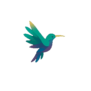 Colibri volant